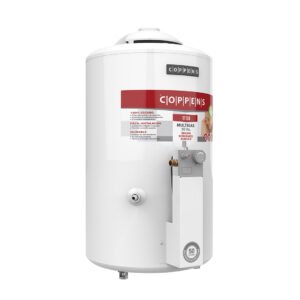 Termotanque 50 litros: imagen 1