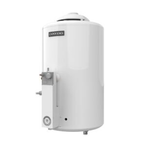 Termotanque 50 litros: imagen 3