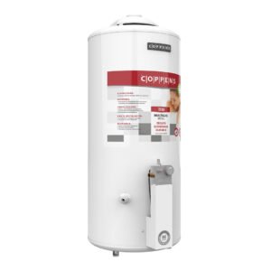 Termotanque 80 litros: imagen 1