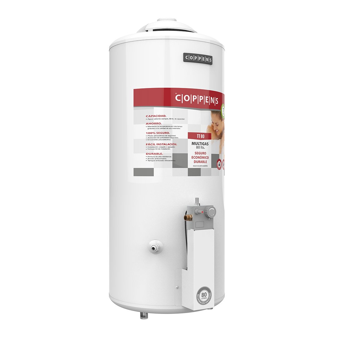 Termotanque 80 litros: imagen 1