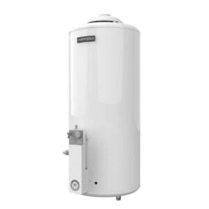 Termotanque 80 litros: imagen 3