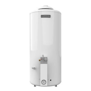 Termotanque 80 litros: imagen 2