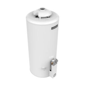 Termotanque 80 litros: imagen 4