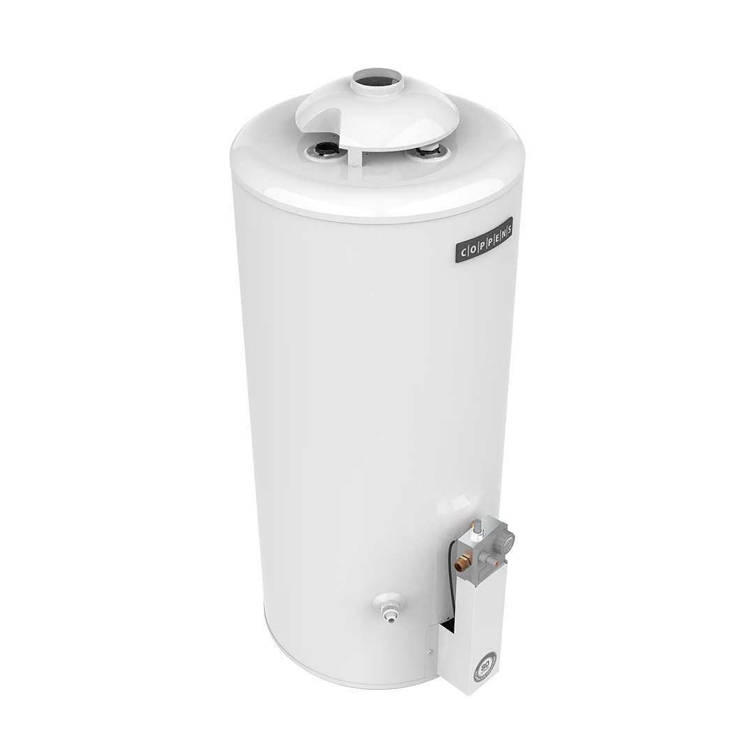 Termotanque 80 litros: imagen 4