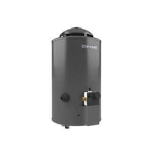 Termotanque 210LTS/H GMAX: imagen 4