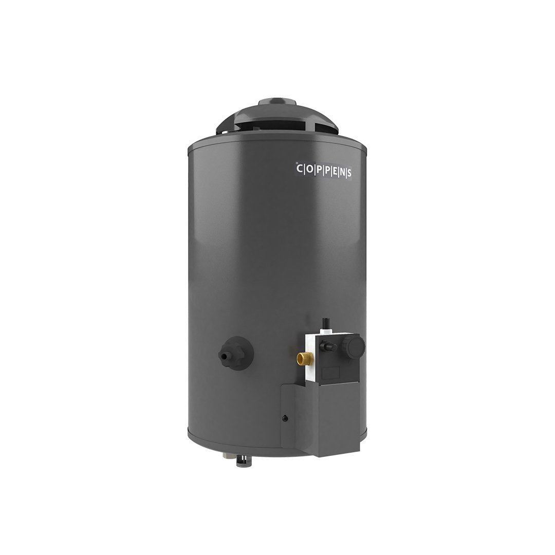 Termotanque 210LTS/H GMAX: imagen 4