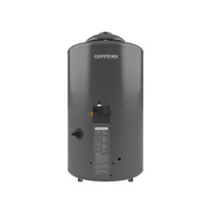 Termotanque 310LTS/H GMAX: imagen 2