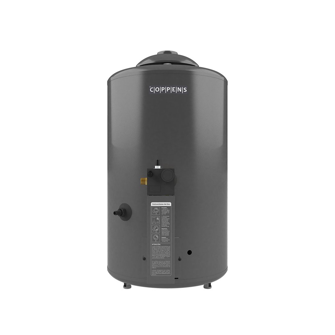 Termotanque 310LTS/H GMAX: imagen 2