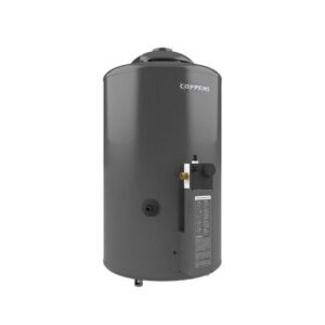 Termotanque 310LTS/H GMAX: imagen 4