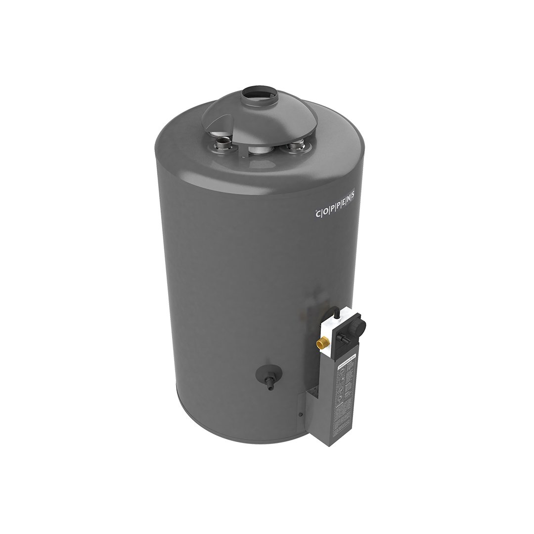 Termotanque 310LTS/H GMAX: imagen 3
